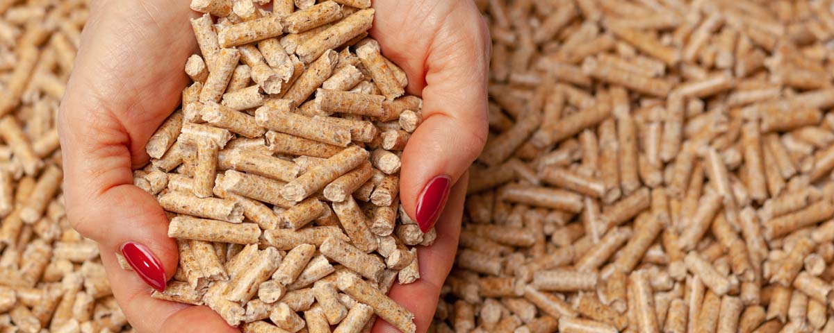 Ci sono ottimi motivi per scegliere una stufa a pellet