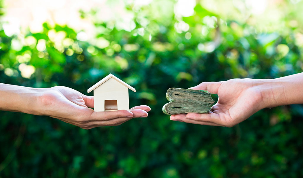 Bonus Casa 2024: Guida Completa alle Agevolazioni per la Ristrutturazione e l’Efficienza Energetica